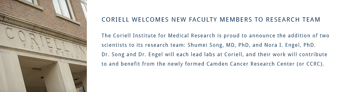 New Faculty Hires
